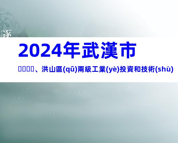 2024年武漢市、洪山區(qū)兩級工業(yè)投資和技術(shù)改造類專項資金申報條件、獎補(bǔ)、材料、時間